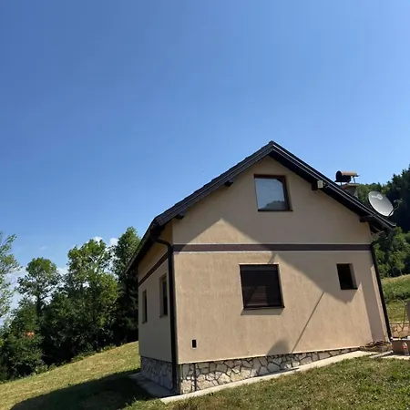 Silence Of The Forest