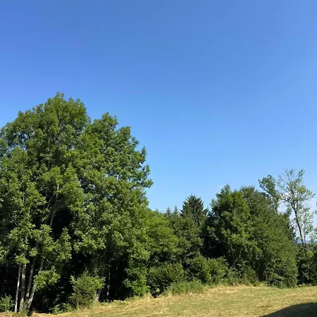 Alpesi faház Silence Of The Forest *