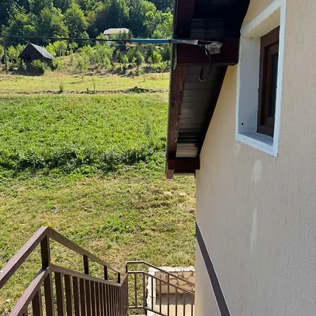 Silence Of The Forest * Foča