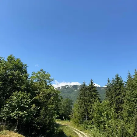 Alpesi faház Silence Of The Forest *