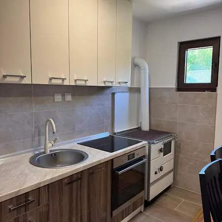 Silence Of The Forest * Foča