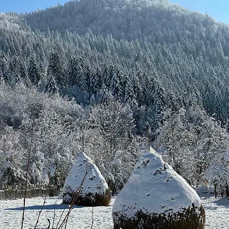 Silence Of The Forest * Foča
