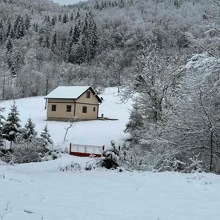Silence Of The Forest Alpesi faház