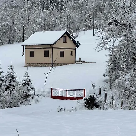 Silence Of The Forest